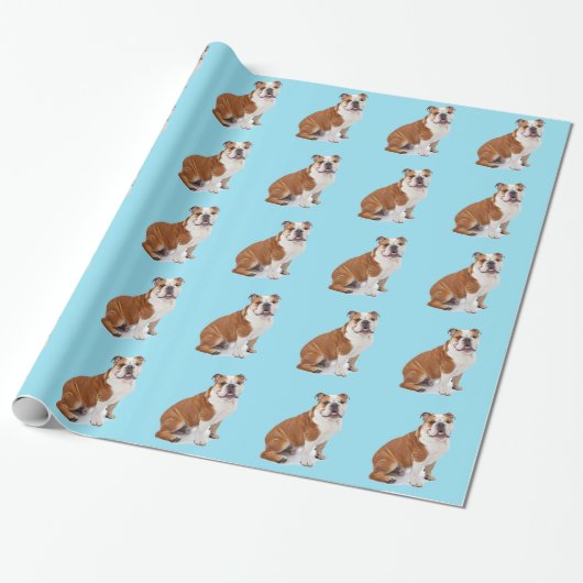 Engels British Bulldog Cadeaupapier (Uitgerold)