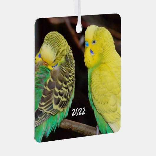 Engels Budgie Paraket Ceramic Ornament (Voorkant Rechts)