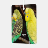 Engels Budgie Paraket Ceramic Ornament (Voorkant links)