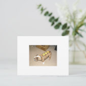 engels buldog als honinggebakken ham briefkaart (Staand voorkant)