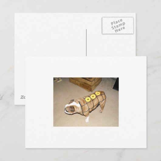 engels buldog als honinggebakken ham briefkaart (Voorkant / Achterkant)