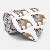 engels_buldog, engelse stropdas voor bulldog (Opgerold)