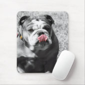 engels buldog muismat (Met muis)