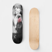 engels buldog persoonlijk skateboard (Voorkant)
