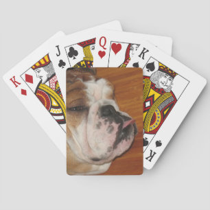 Engels bull dog dek of playcards pokerkaarten