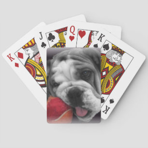 Engels bull dog dek of playcards pokerkaarten