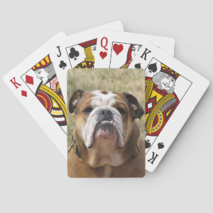 Engels bull dog dek of playcards speelkaarten