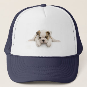 Engels Bull Dog Pet