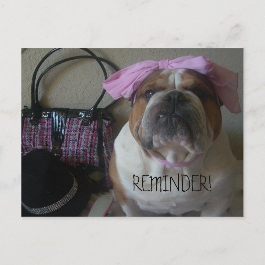 ENGELS BULLDOG BRIEFKAART REMINDER (Voorkant)