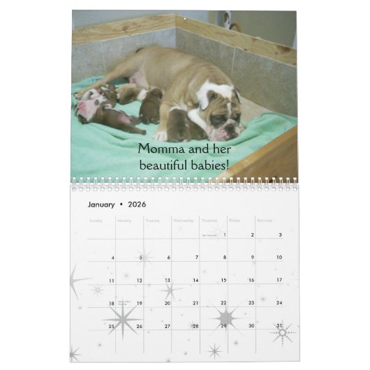 Engels Bulldog Calendar 2010 Kalender (Jan 2026)