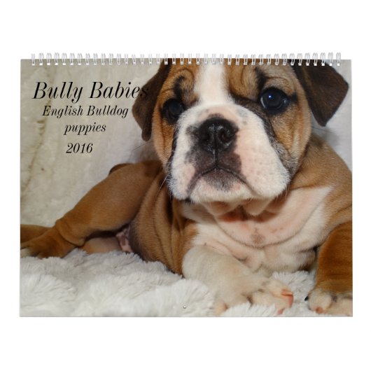 Engels Bulldog Calendar 2016 Kalender (Hoes)