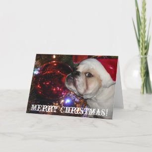 Engels Bulldog Christmas Feestdagen Kaart