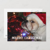 Engels Bulldog Christmas Feestdagenkaart (Voorkant / Achterkant)