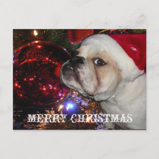 Engels Bulldog Christmas Feestdagenkaart