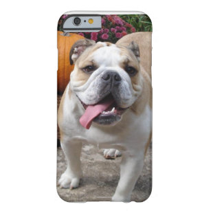 Engels Bulldog Cute Funny iPhone 6 hoesje cover ca
