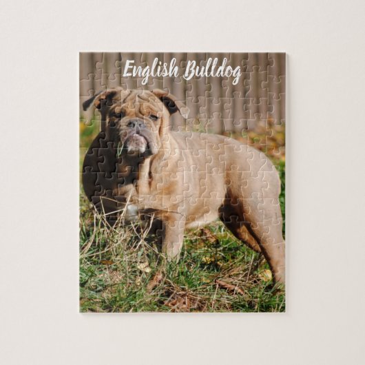 Engels Bulldog Jigsaw Puzzel spel (Verticaal)