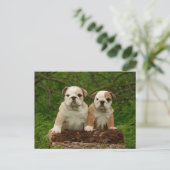 Engels Bulldog Puppy Dog Blank Briefkaart (Staand voorkant)