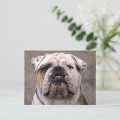 Engels Bulldog Puppy Dog Blank Briefkaart (Staand voorkant)