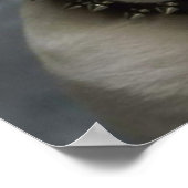 Engels Bulldog Puppy Dog Portrait Poster (Hoek)