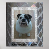 Engels Bulldog Puppy Poster "Unconditional Love" (Voorkant)