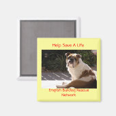 Engels Bulldog Rescue Network - Gepersonaliseerd Magneet (Voorkant / Achterkant)