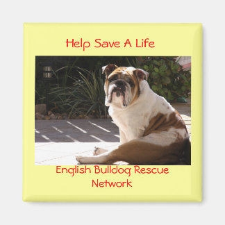 Engels Bulldog Rescue Network - Gepersonaliseerd Magneet