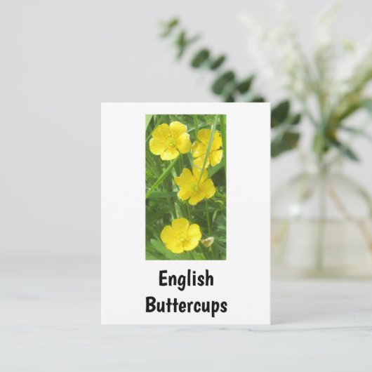 Engels Buttercups Briefkaart (Staand voorkant)
