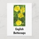 Engels Buttercups Briefkaart (Voorkant)