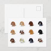 engels cocker spaniel alle kleuren acrtoons briefkaart (Voorkant / Achterkant)