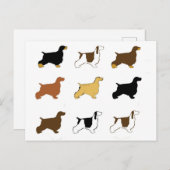 Engels Cocker Spaniel alle kleuren silo's Briefkaart (Voorkant / Achterkant)