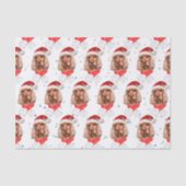 Engels Cocker Spaniel Dog Breed Christmas Tissuepapier (Voorkant)