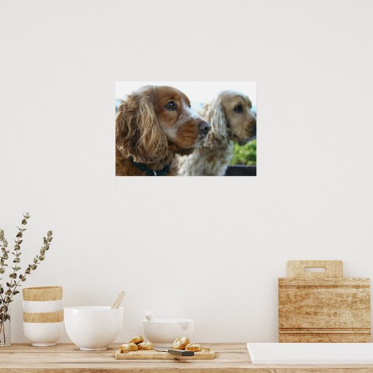 Engels Cocker Spaniel Dog Poster (Keuken)
