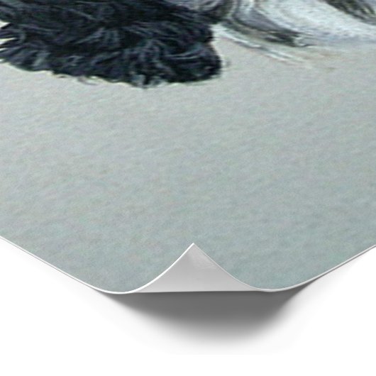 Engels Cocker Spaniel Dog Poster Print (Hoek)