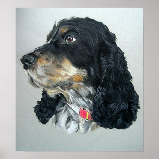 Engels Cocker Spaniel Dog Poster Print (Voorkant)