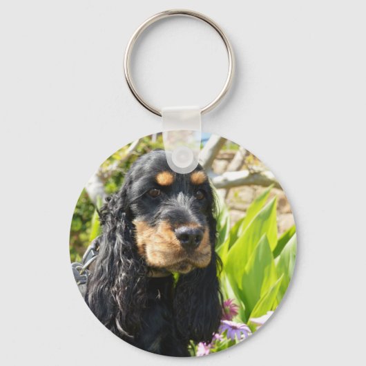 engels-cocker-spaniel-zwart en tan sleutelhanger (Voorkant)