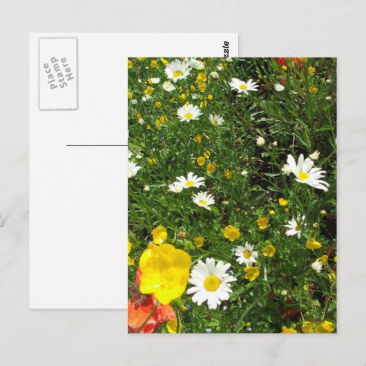 Engels Cottage Garden Briefkaart (Voorkant / Achterkant)