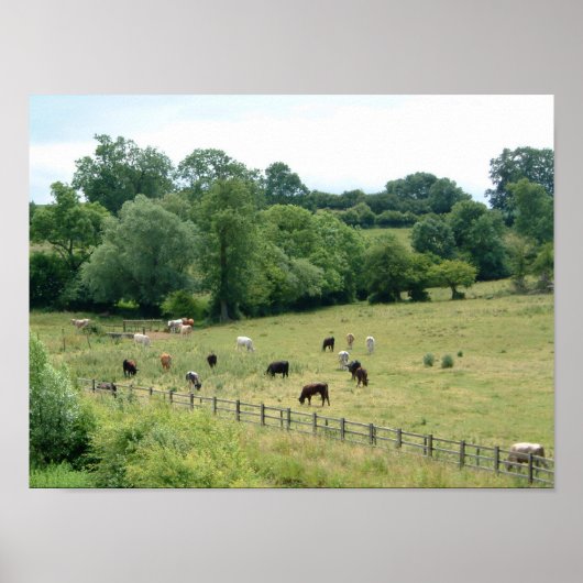 Engels Farmland Poster (Voorkant)