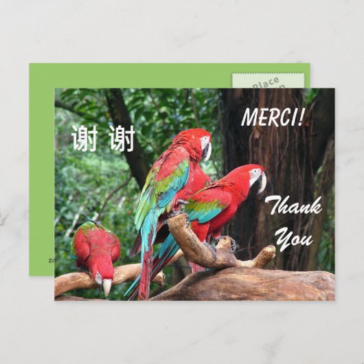 Engels/Frans/Chinees bedankt kaart (Voorkant / Achterkant)