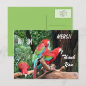 Engels/Frans/Chinese bedankkaart Briefkaart (Voorkant / Achterkant)