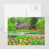 Engels Garden Tulip Time Briefkaart (Voorkant / Achterkant)