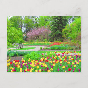 Engels Garden Tulip Time Briefkaart