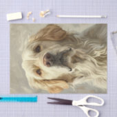 Engels Golden Retriever5 Tissuepapier (Craft)