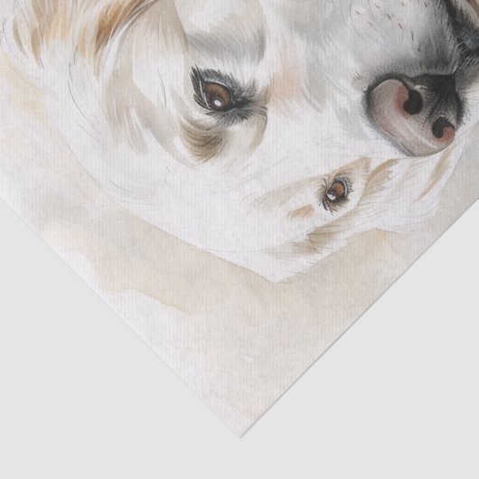 Engels Golden Retriever7 Tissuepapier (Detail)