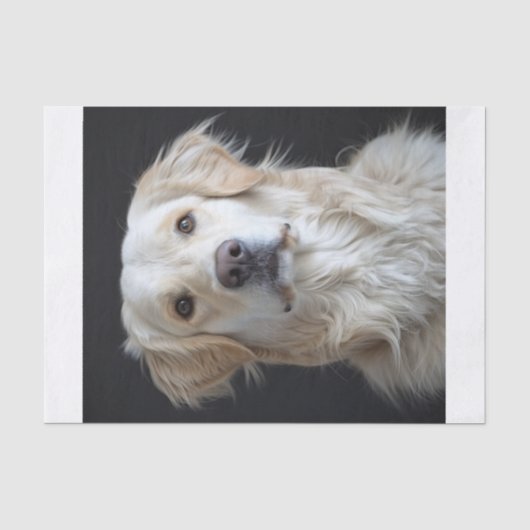 Engels Golden Retriever9 Tissuepapier (Voorkant)