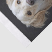 Engels Golden Retriever9 Tissuepapier (Detail)