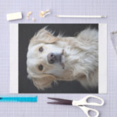 Engels Golden Retriever9 Tissuepapier (Craft)
