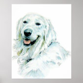 Engels Golden Retriever print (Voorkant)