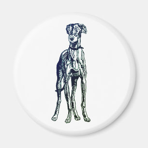 Engels Greyhound Breed Magnet