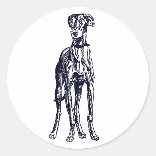 Engels Greyhound Breed Ronde Sticker (Voorkant)