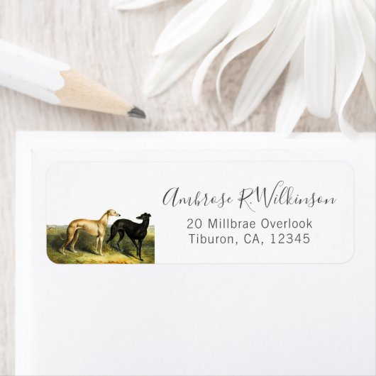 Engels Greyhound Dogs Waterloo Cup 1877 Fine Art Etiket (Insitu)